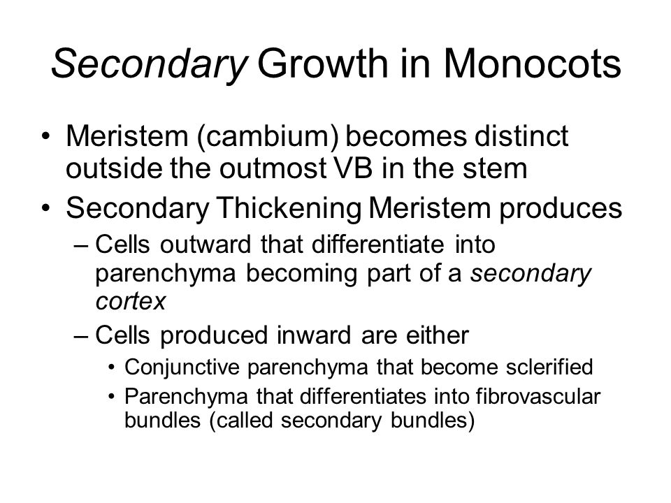 Secondary Growth